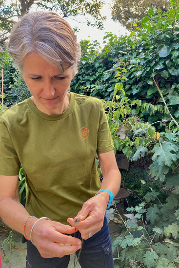 The Hardy Tee (Green)